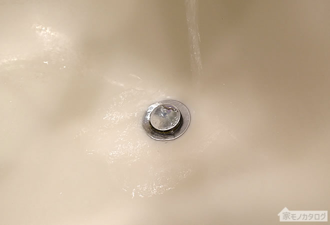 ダイソーの洗面台のゴミガードの画像